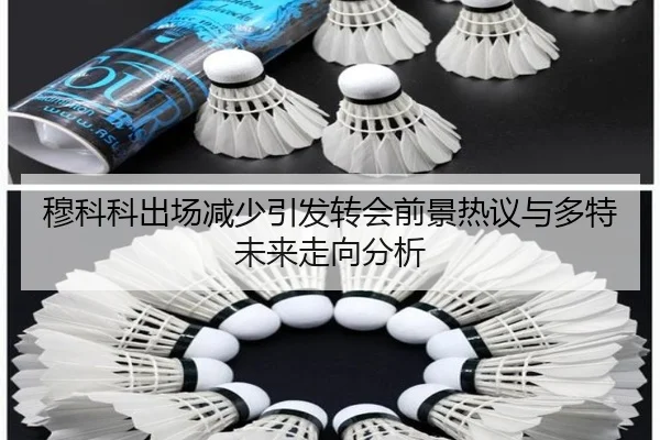 穆科科出场减少引发转会前景热议与多特未来走向分析
