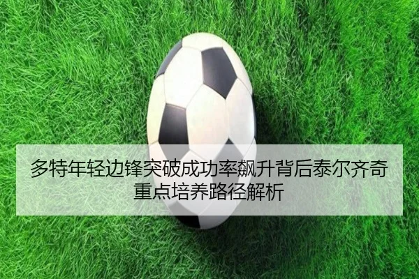 多特年轻边锋突破成功率飙升背后泰尔齐奇重点培养路径解析